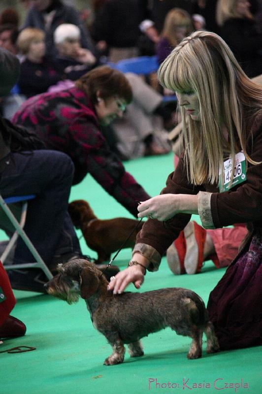 Crufts2011_2 1580.jpg